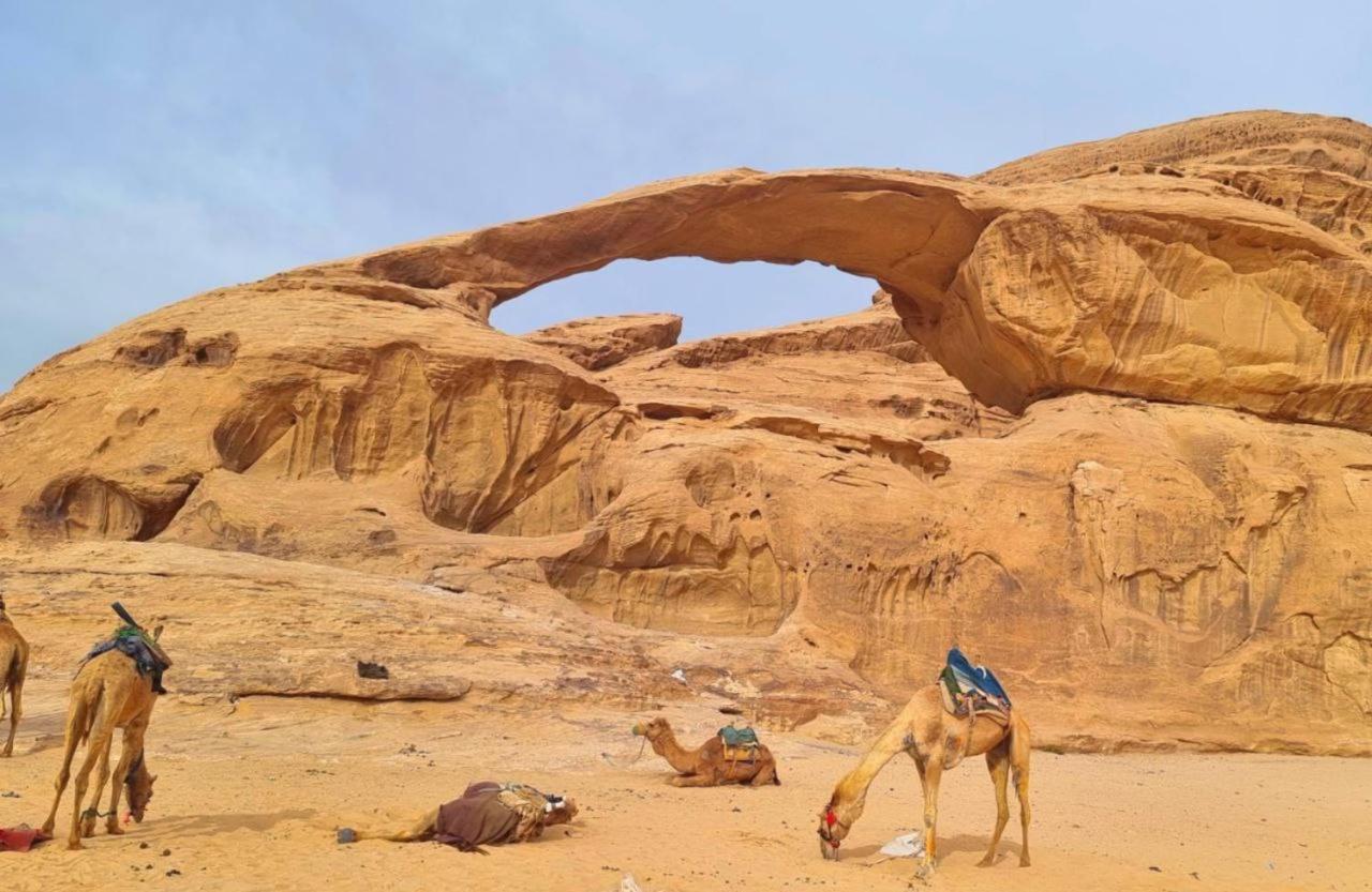 White Desert Camp Wadi Rum Exteriör bild