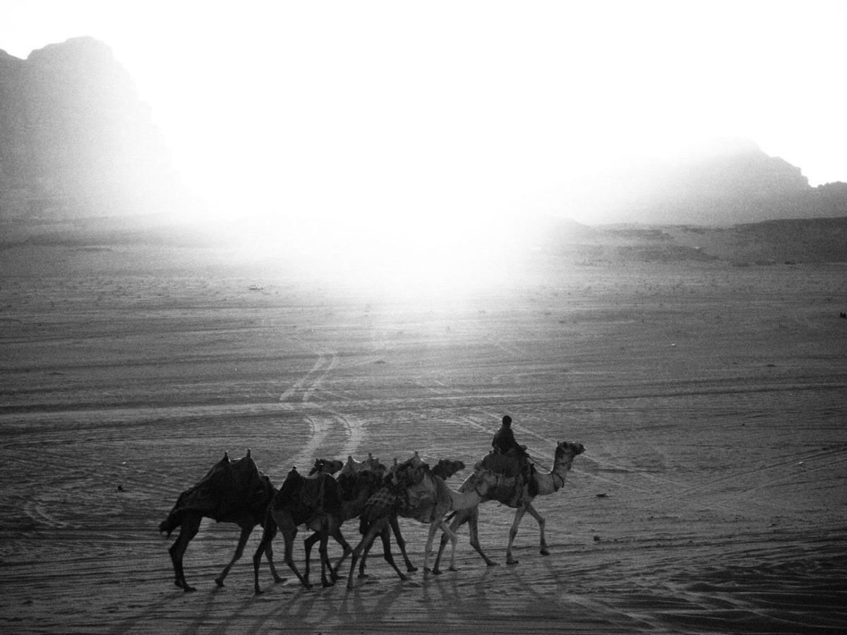 White Desert Camp Wadi Rum Exteriör bild