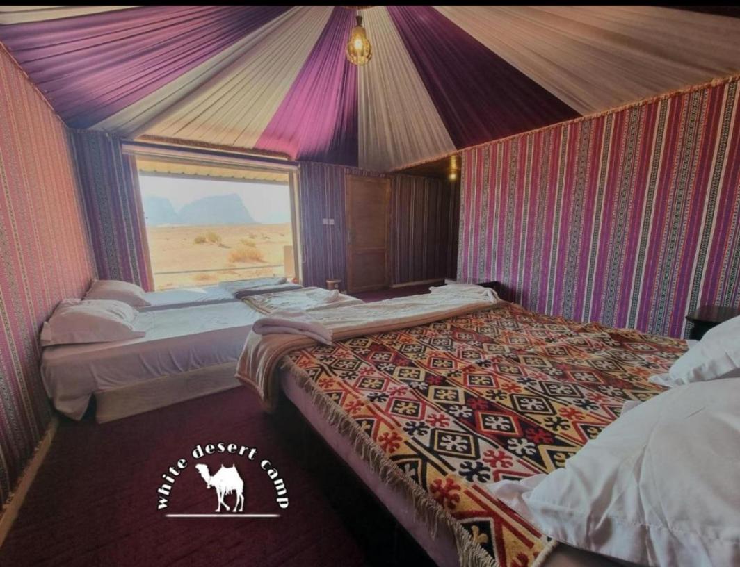 White Desert Camp Wadi Rum Exteriör bild