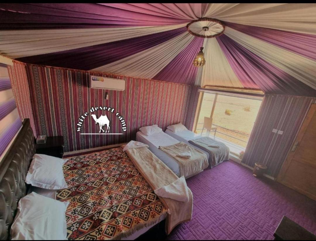 White Desert Camp Wadi Rum Exteriör bild